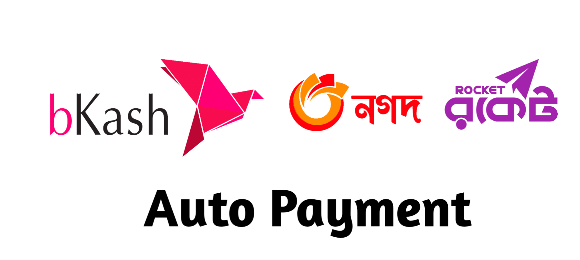 UddoktaPay